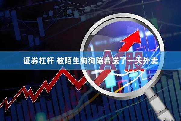证券杠杆 被陌生狗狗陪着送了一天外卖