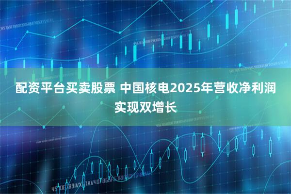 配资平台买卖股票 中国核电2025年营收净利润实现双增长